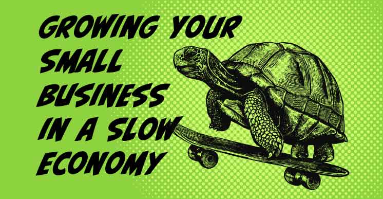 Slow and Steady Wins The Race: Fostering Business Growth In a Sluggish Economy