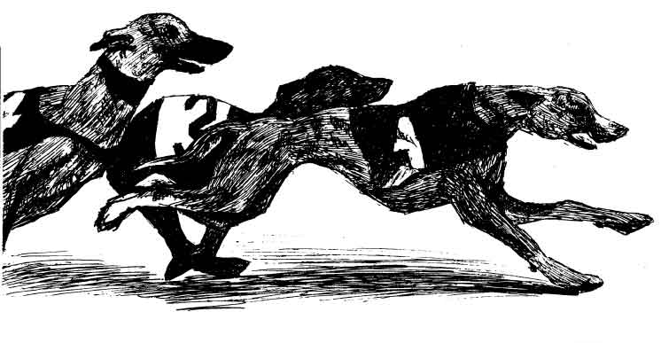 black and white vector lineart of greyhounds running a race.
